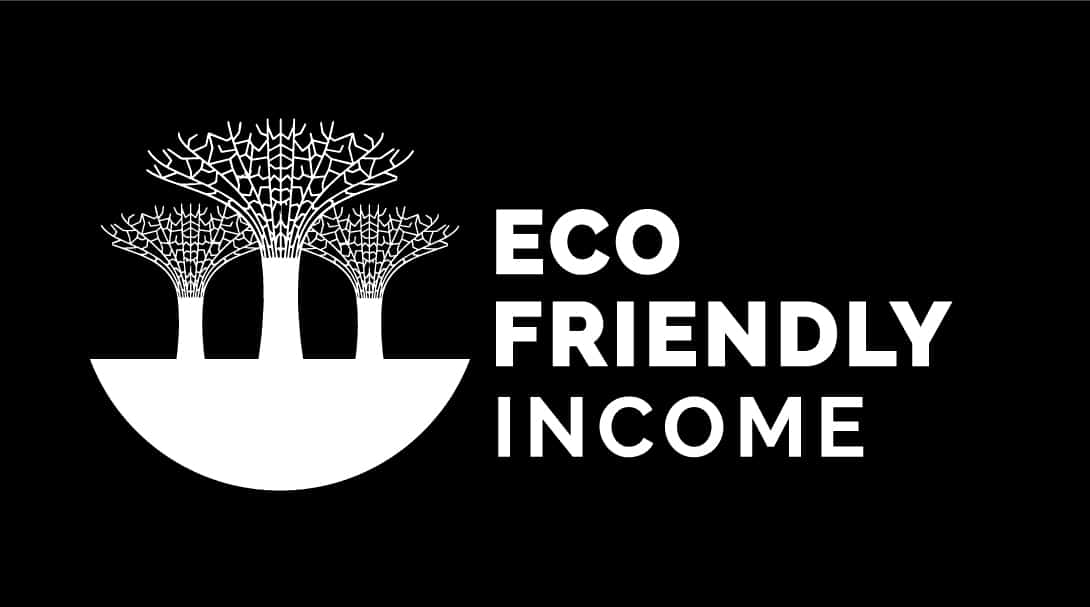 Home Eco Friendly Income