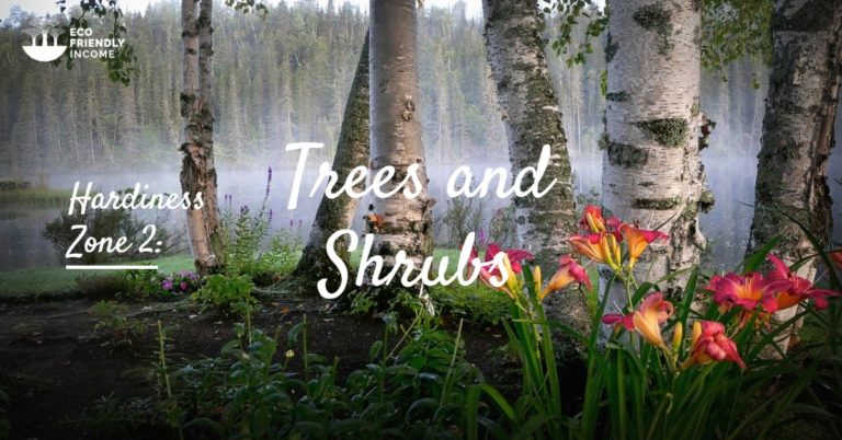 Trees & Shrubs Hardiness Zone